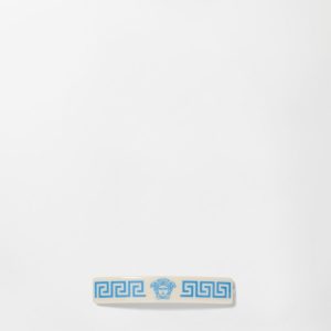 Plex Hair Clip