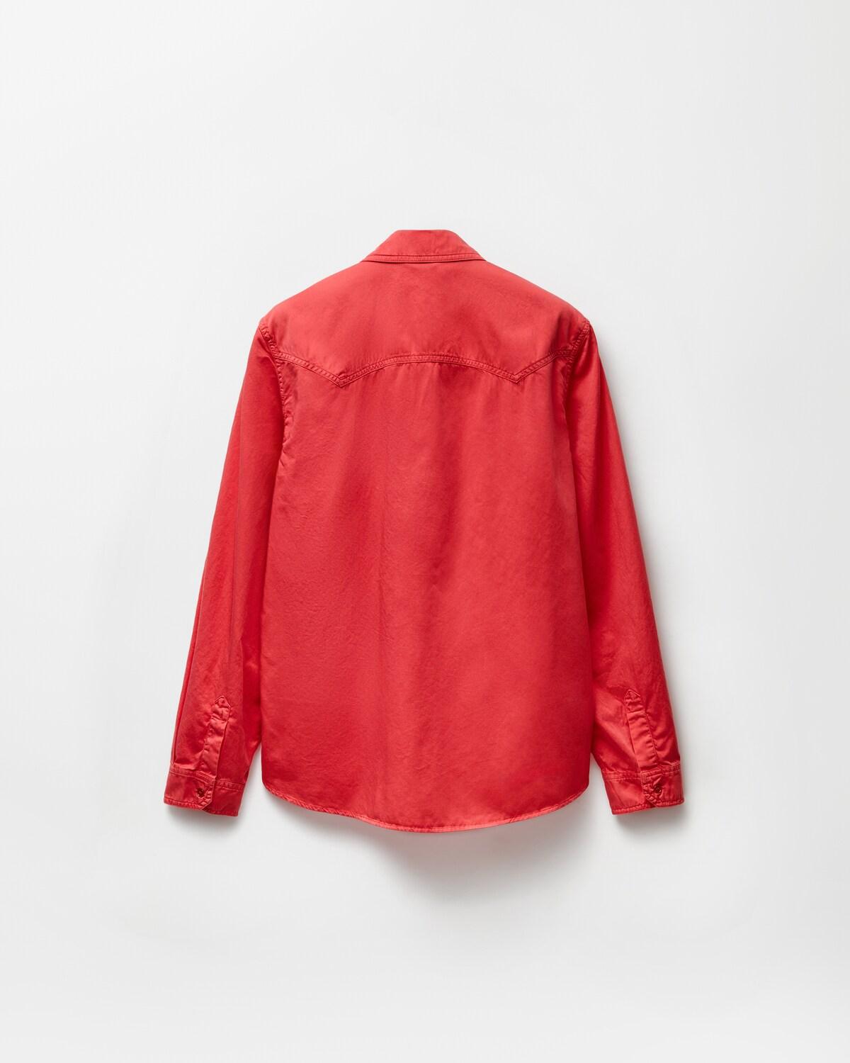 Cotton Regular Shirt - Image 3