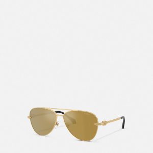 Avanti Pilot Sunglasses