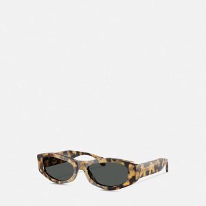 Signature Sunglasses