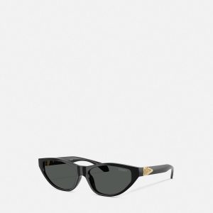 Avanti Cat-Eye Sunglasses