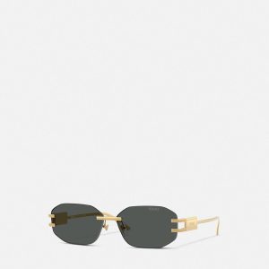 Damier Plaque Sunglasses