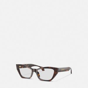 Signature Cat-Eye Glasses
