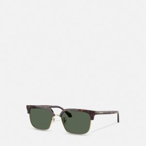 Signature Low-Bridge Squared Sunglasses