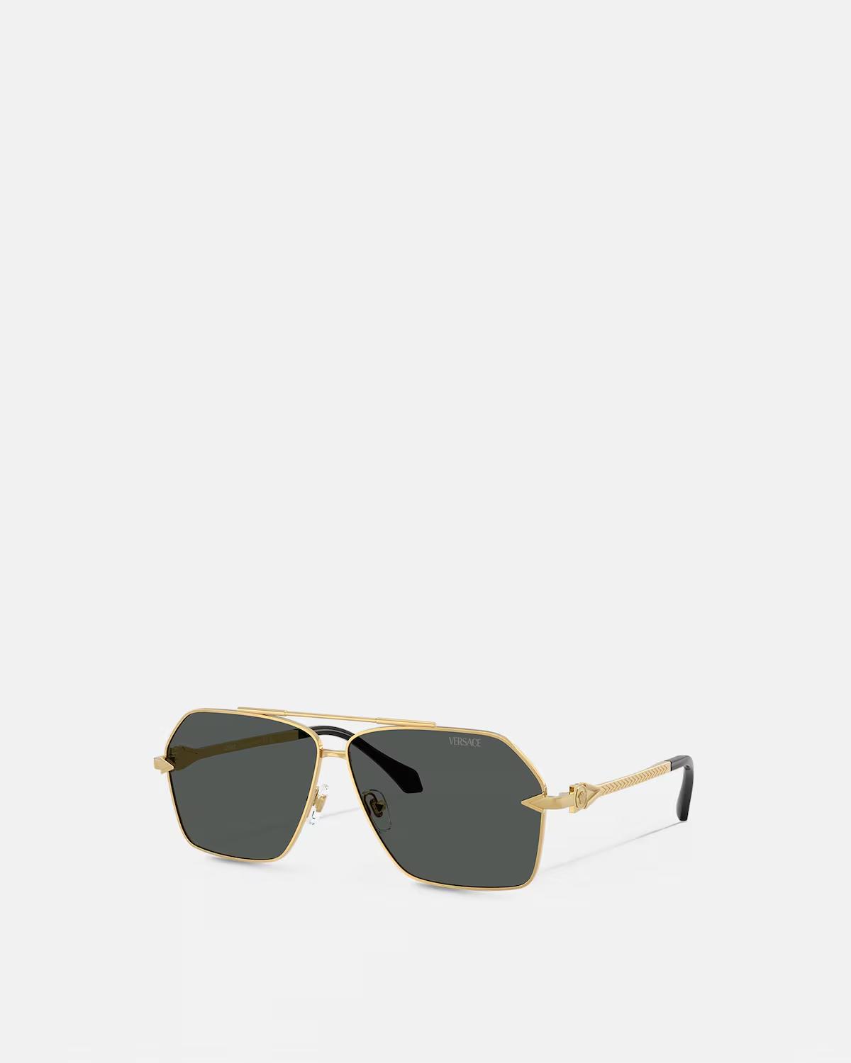 Avanti Navigator Sunglasses