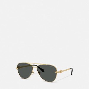 Avanti Pilot Sunglasses